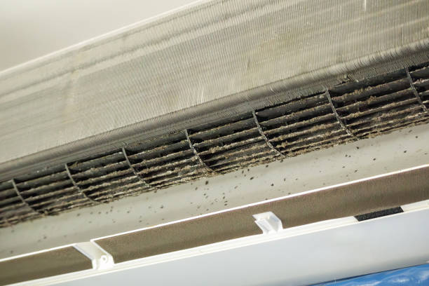 Best HVAC System Cleaning  in Indialantic, FL